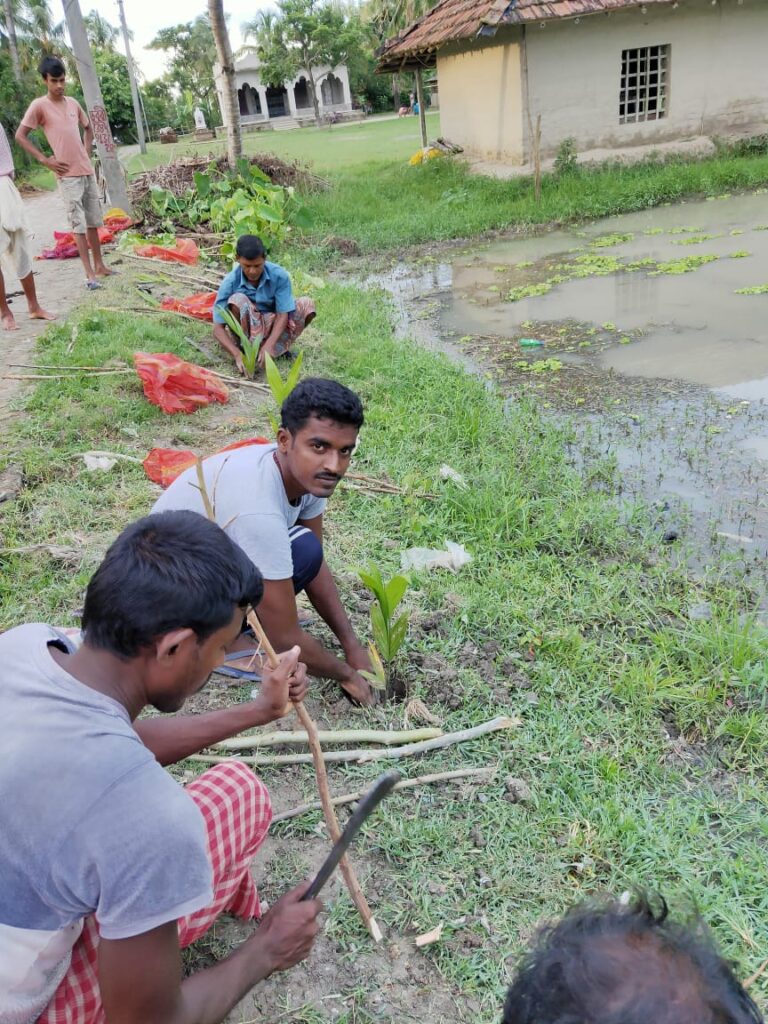 Afforestation on road near canal (2021-22)