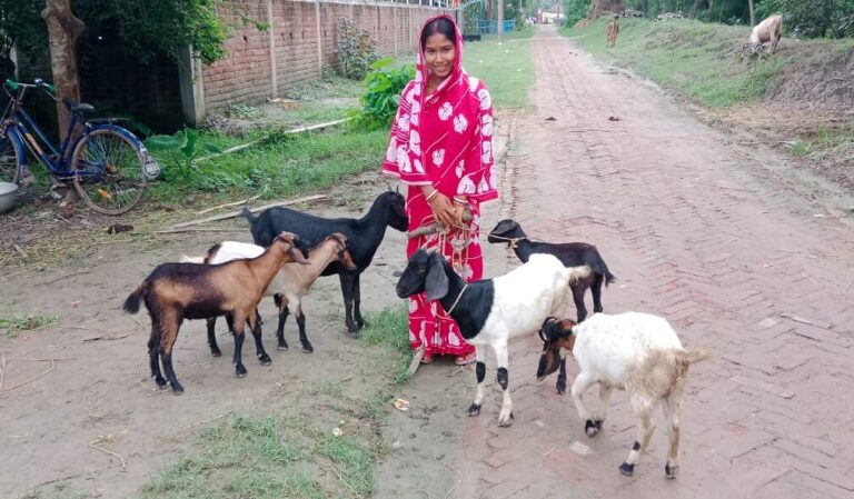 Animal husbandry (2)