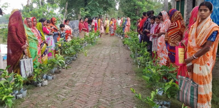 Fruit Seedlings distribution among women (2023-24)