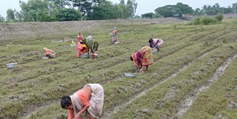 Land restoration program (2023-24)