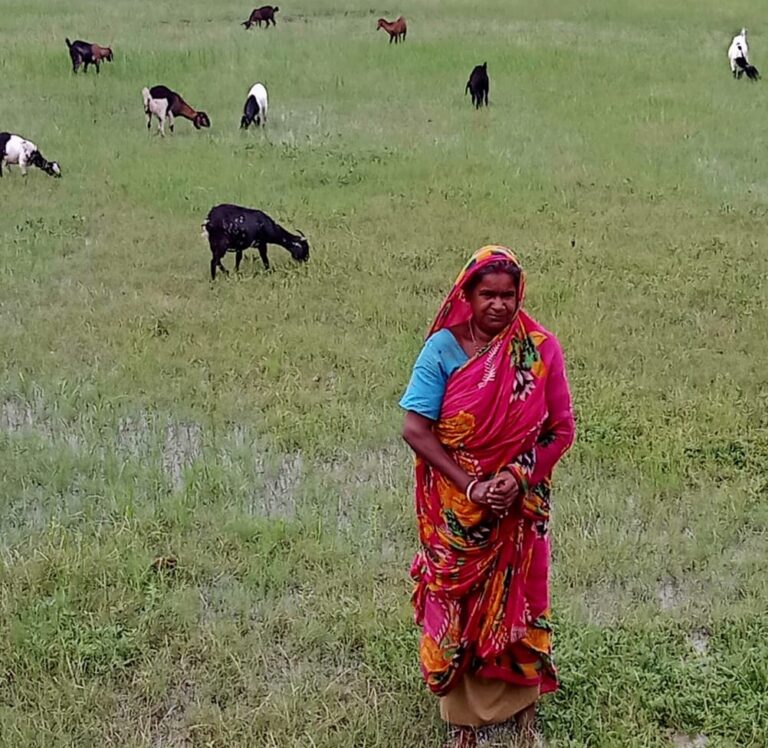 Livelihood program on goat rearing (2023-24) (2)